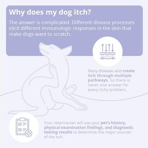 TrizCHLOR 4 Shampoo for Dogs, Cats & Horses, 16-fl oz bottle