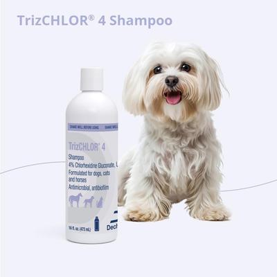 Show full view: TrizCHLOR 4 Shampoo Dogs, Cats & Horses, 16-oz bottle slide 4 of 10