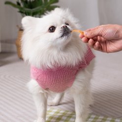 MON2SUN Chicken Jerky Strips Dog Treats, 10.58-oz bag slide 2 of 6