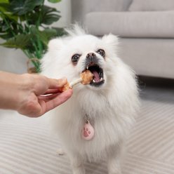 MON2SUN Chicken Dumbbells with Rice 2.5-inch Dog Chew Treats, 17 count slide 2 of 7