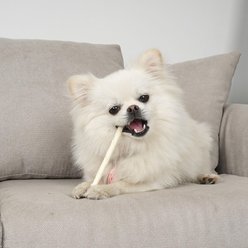 MON2SUN Rawhide Twist Sticks Natural Flavor 5-inch Dog Chew Treats, 120 count slide 2 of 6