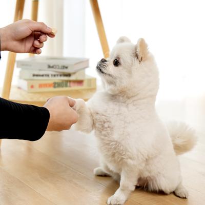 Show full view: MON2SUN Single Ingredient Chicken Freeze-Dried Dog & Cat Treats, 6-oz jar slide 8 of 11