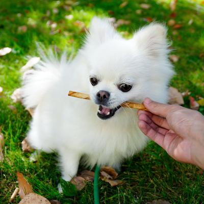 Show full view: MON2SUN Rawhide Twist Sticks Chicken Flavor 5-inch Dog Chew Treats, 120 count slide 7 of 10