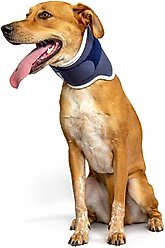 Balto Rigid Dog Neck Brace, XX-Small slide 1 of 8