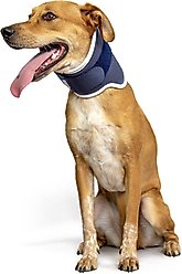 Balto Rigid Dog Neck Brace, Small