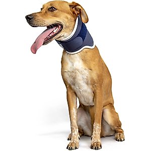 Balto Rigid Dog Neck Brace, Small