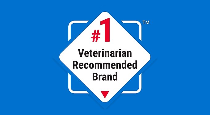 Nutramax Cosequin Hip & Joint Maximum Strength Plus MSM Chewable Tablets Joint Supplement for Dogs