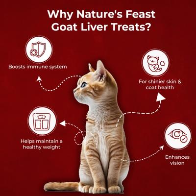 Show full view: Pawfect Nature's Feast Goat Liver Grain-Free All Natural Freeze-Dried Cat Training Treat, 1.76-oz canister slide 5 of 9