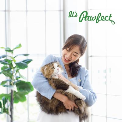 Show full view: Pawfect Nature's Feast Chicken Breast Grain-Free All Natural Freeze-Dried Cat Training Treat, 7-oz canister slide 8 of 9