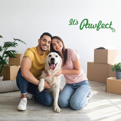 Show full view: Pawfect Nature's Munch Freeze-Dried Pumpkin All Natural Vegan Dog Training Treat, 0.71-oz bag slide 8 of 9