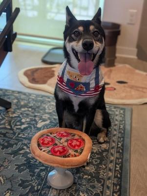 Show full view: Nocciola Treat Trio Snuffle Sueaky Crinkle Plush Dog Toys, 3 count slide 9 of 9