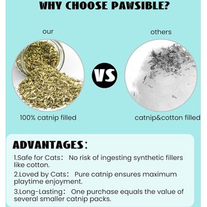 Pawsible Cactus Cat Toy Set with Catnip, 5 count