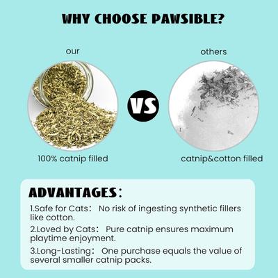 Show full view: Pawsible Cactus Cat Toy Set with Catnip, 5 count slide 2 of 8