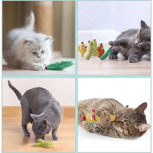 Pawsible Cactus Cat Toy Set with Catnip, 5 count