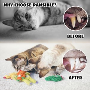 Pawsible Cactus Cat Toy Set with Catnip, 5 count