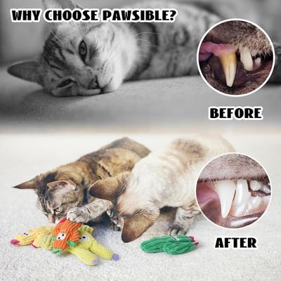 Show full view: Pawsible Cactus Cat Toy Set with Catnip, 5 count slide 5 of 8