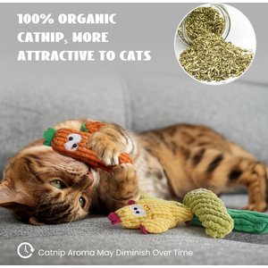 Pawsible Cactus Cat Toy Set with Catnip, 5 count