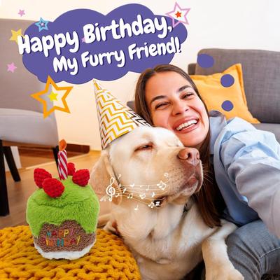 Show full view: Nocciola Matcha Strawberry Birthday Cake Plush Dog Toy slide 9 of 9