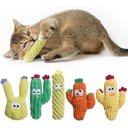 Pawsible Cactus Cat Toy Set with Catnip, 5 count