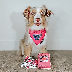 Sassy Woof Mean Girls Dog Toy, 2 count slide 2 of 6