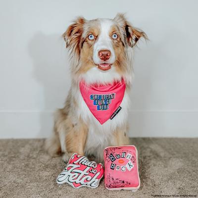 Show full view: Sassy Woof Mean Girls Dog Toy, 2 count slide 7 of 8