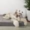 Show in main carousel: LaiFug Double Pillow Dog Bed, Grey, Jumbo slide 8 of 10