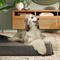 Show in main carousel: LaiFug Double Pillow Dog Bed, Grey, Jumbo slide 3 of 10