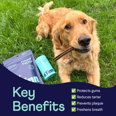 Show full view: Finn Plaque Patrol Dental Powder for Dogs, 6-oz tin slide 4 of 10