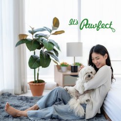 Pawfect Nature's Feast Chicken Liver Grain-Free All Natural Freeze-Dried Dog Training Treat, 7-oz canister slide 2 of 7