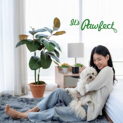 Show full view: Pawfect Nature's Feast Chicken Liver Grain-Free All Natural Freeze-Dried Dog Training Treat, 7-oz canister slide 8 of 8