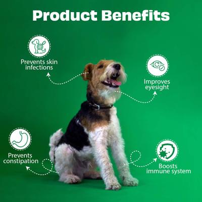 Show full view: Pawfect Nature's Munch Freeze-Dried Mango All Natural Vegan Dog Training Treat, 1.41-oz bag slide 5 of 9