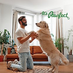 Pawfect All Natural Grain-Free Cheese Biscuits with Pumpkin, Flaxseed & Eggs Crunchy Dog Training Treats, 3.53-oz tin slide 2 of 7