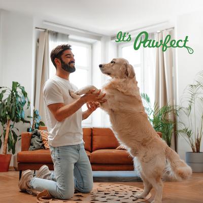 Show full view: Pawfect All Natural Grain-Free Cheese Biscuits with Pumpkin, Flaxseed & Eggs Crunchy Dog Training Treats, 3.53-oz tin slide 8 of 9