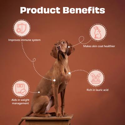 Show full view: Pawfect Nature's Munch Freeze-Dried Coconut All Natural Vegan Dog Training Treat, 1.76-oz bag slide 5 of 9