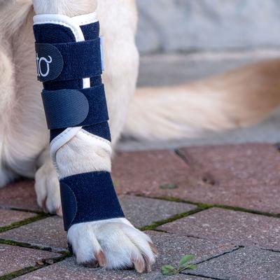 Show full view: Balto Carpal/Tarsal Dog Laxity Splint, XX-Small slide 8 of 9