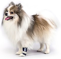 Balto Carpal/Tarsal Dog Laxity Splint, Large