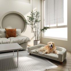 jansno Wooden Legs Elevated Dog & Cat Couch Bed with Cushion, Gray