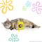 Show in main carousel: SpongeBob SquarePants Cat Crinkle Toy with Catnip, Yellow slide 3 of 6