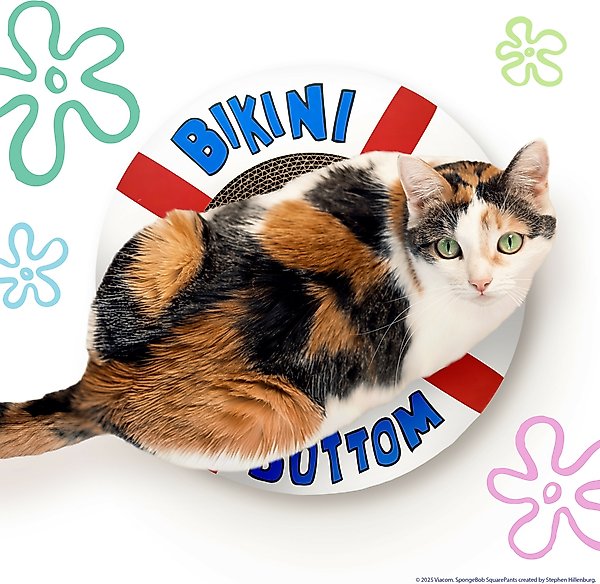 Show full view: SpongeBob Life Preserver Cat Scratcher Toy with Catnip, White slide 3 of 6