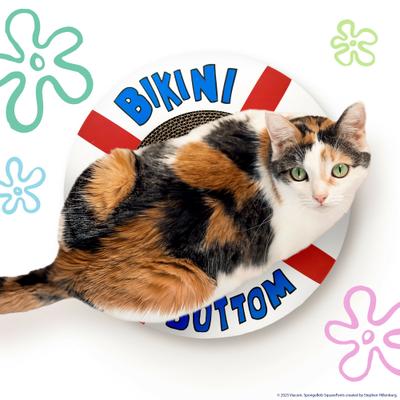 Show full view: SpongeBob Life Preserver Cat Scratcher Toy with Catnip, White slide 4 of 7