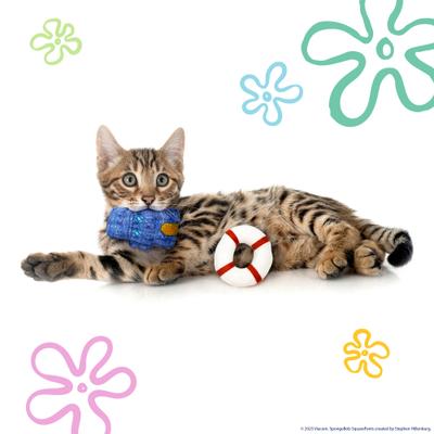 Show full view: SpongeBob Bikini Bottom Cat Plush Toys with Catnip, Yellow, 5-Pack slide 3 of 6