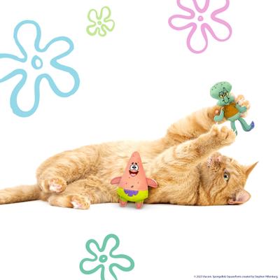 Show full view: SpongeBob Squidward & Patrick Cat Plush Toy with Catnip, Blue, 2-Pack slide 3 of 6