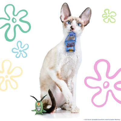 Show full view: SpongeBob Plankton & Chum Bucket Cat Plush Toy with Catnip, Grey, 2-Pack slide 3 of 6