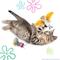 Show in main carousel: SpongeBob Pearl & Sandy Cat Plush Toy with Catnip, White, 2-Pack slide 3 of 6