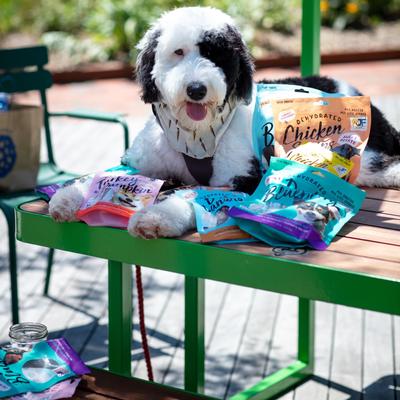 Show full view: Pet Jerky Factory Turkey & Pumpkin Jerky Dog Treats, 5-oz bag slide 9 of 9