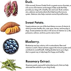 Pet Jerky Factory Duck & Blueberry Jerky Dog Treats, 12-oz bag slide 2 of 8