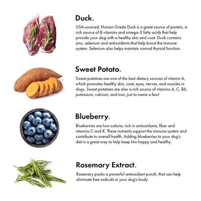 Show full view: Pet Jerky Factory Duck & Blueberry Jerky Dog Treats, 12-oz bag slide 4 of 10