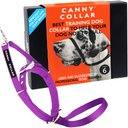 Canny No-Pull Nylon Padded Dog Training Head Collar, Purple, 6, 19 to 21-in neck, 1-in wide