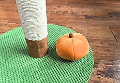 One for Pets Pumpkin Cat Scratching Post slide 2 of 8
