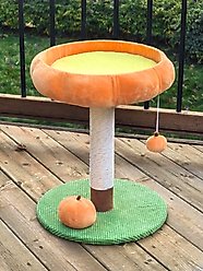 One for Pets Pumpkin Cat Scratching Post